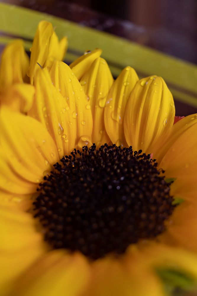 Photograph by Ольга Богданова