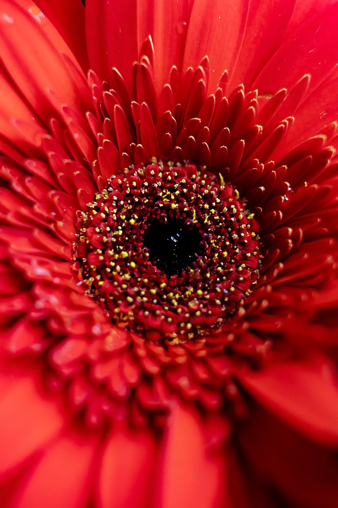 Photograph by Ольга Богданова