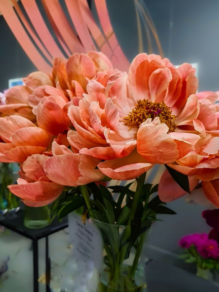 Photograph by Татьяна Соколовская