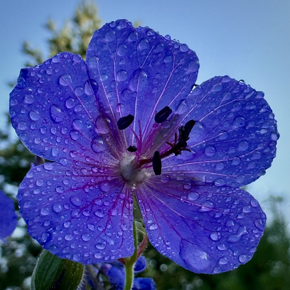 Фотография автора Евгения Елисеева