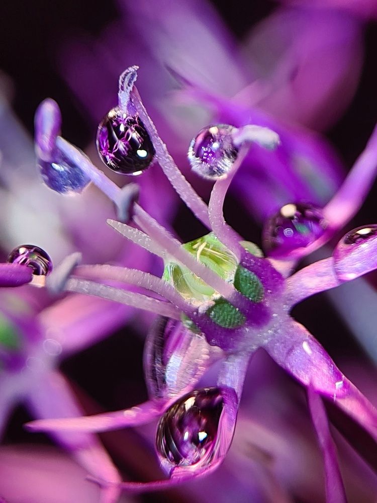 Photograph by Татьяна Соколовская