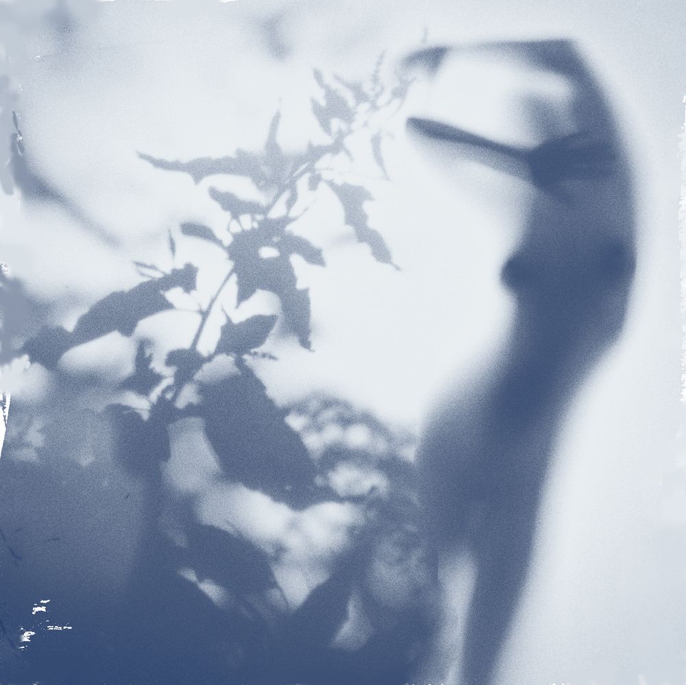 Фотография автора Михаил Кабанов