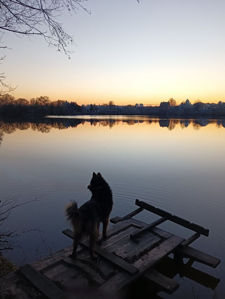 Photograph by Elena Mozhaeva