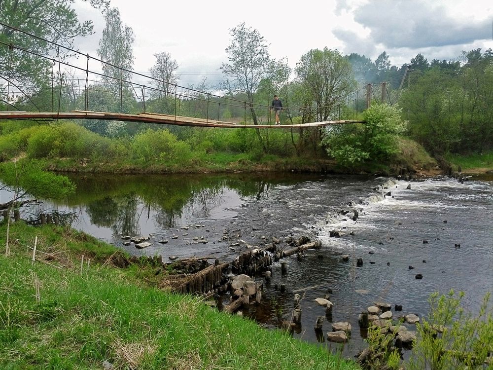 Photo #10911503