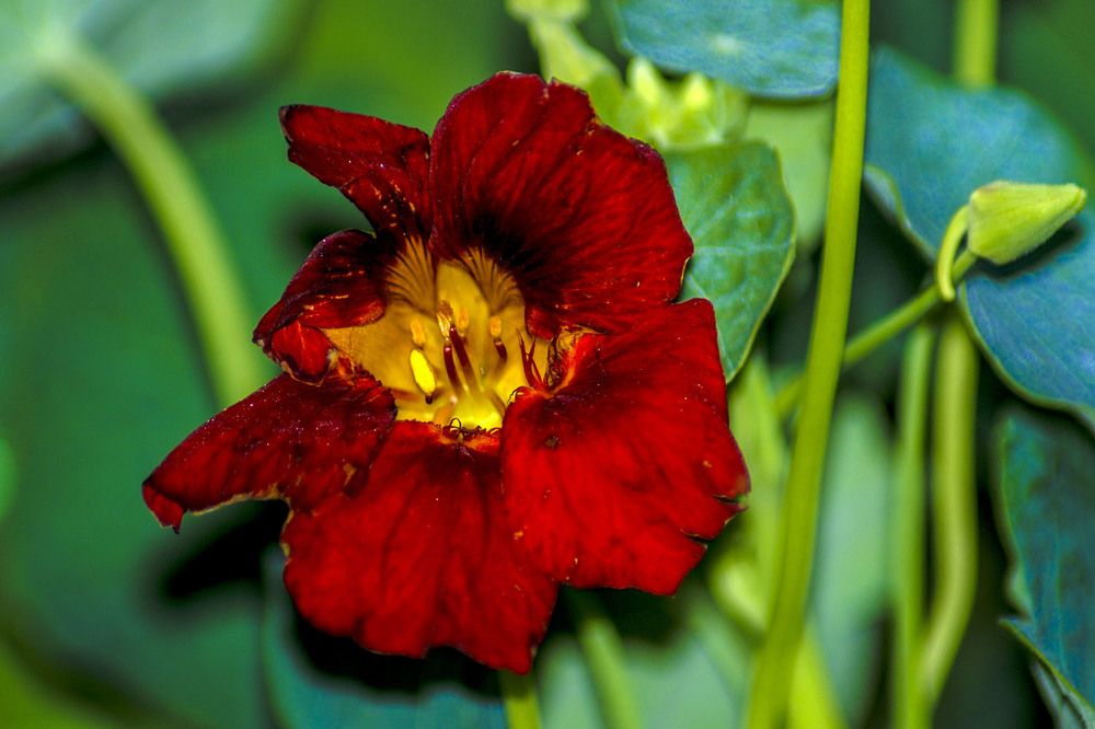 Photograph by Людмила Павловна