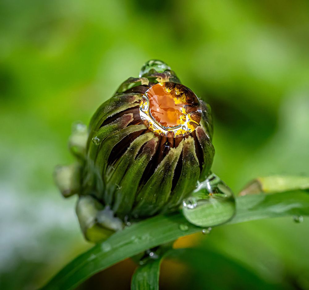 Photograph by Василий Губский