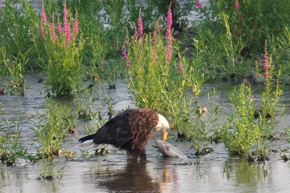 Photograph by Tyler Dewees