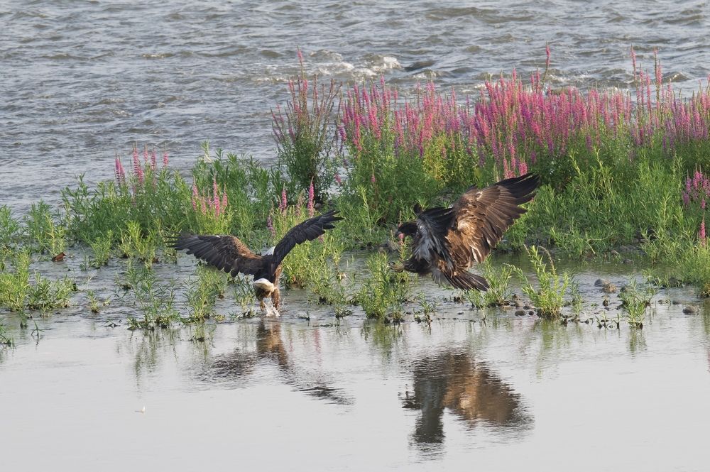 Photograph by Tyler Dewees