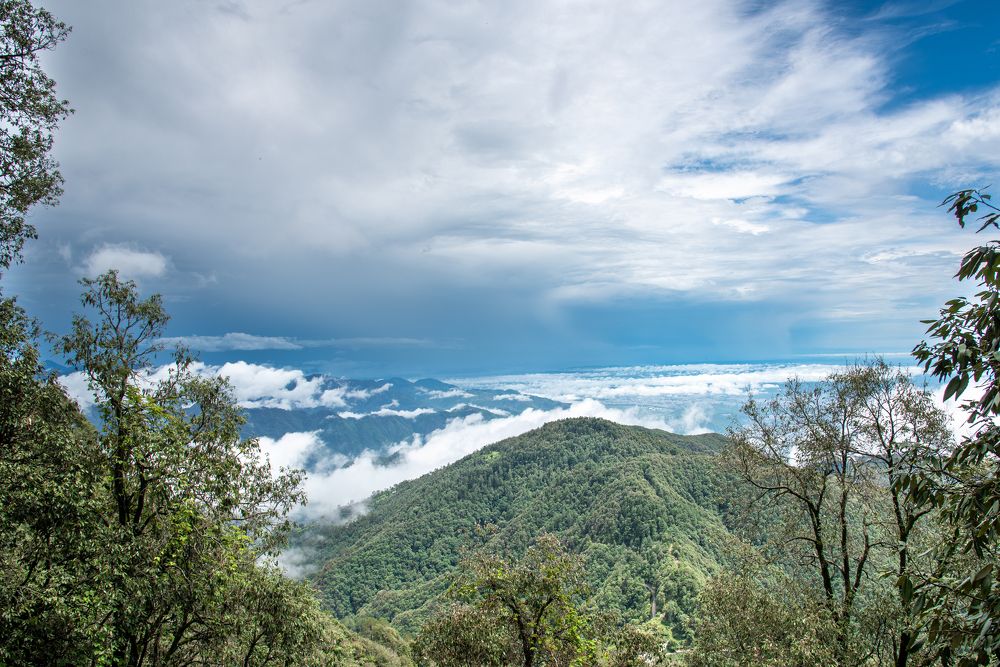 Photograph by Ajayan Kavungal Anat