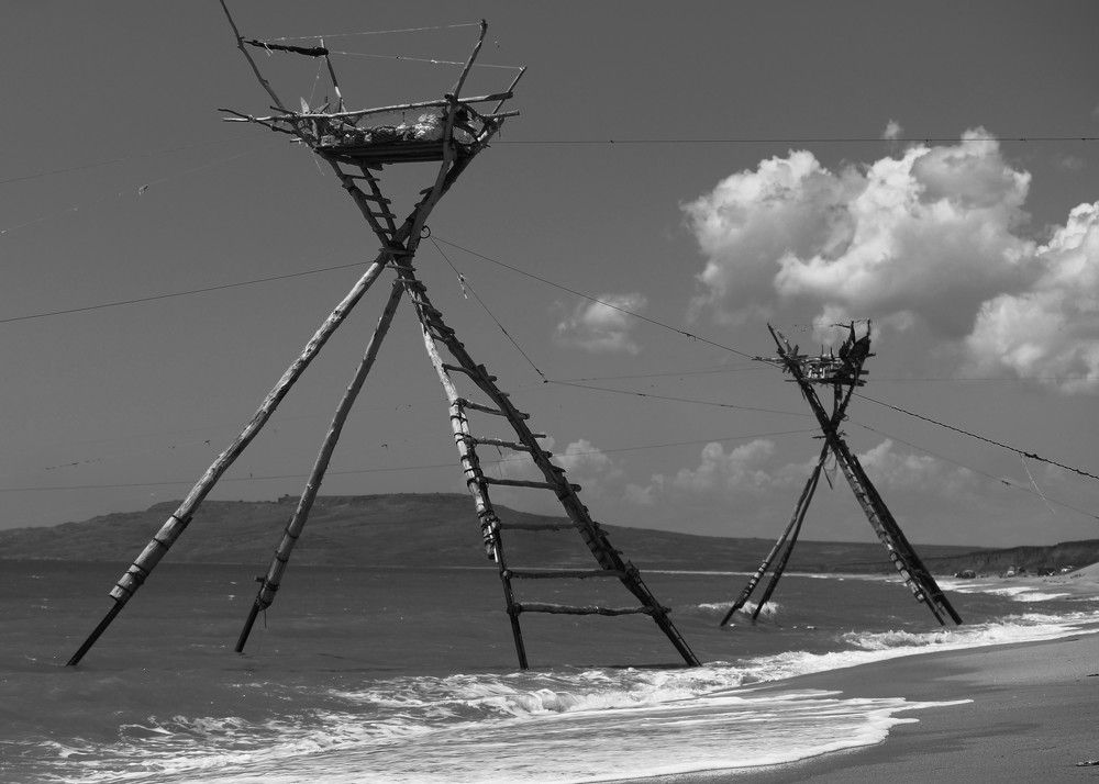 Photograph by Юлия Воскобойникова