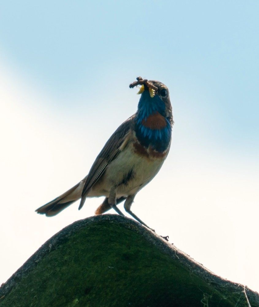 Photograph by Дмитрий Бобровский