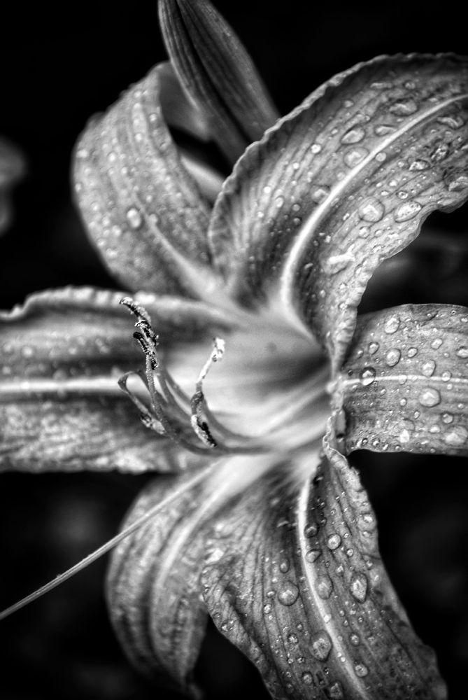 Photograph by Анна Берневик