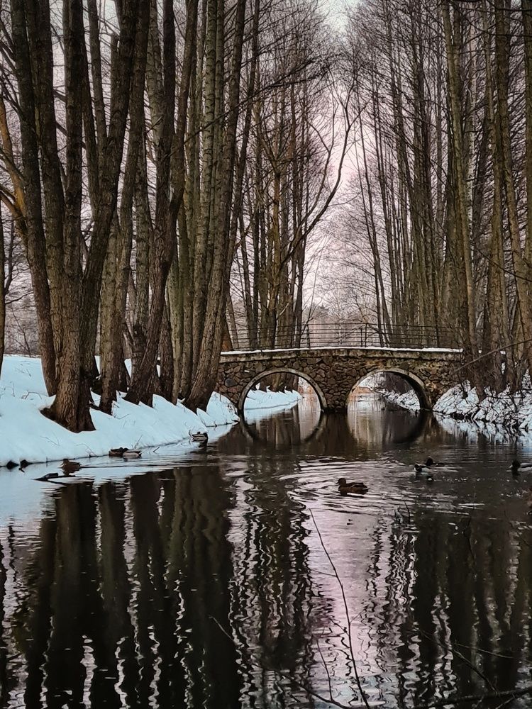 Photograph by Татьяна Соколовская