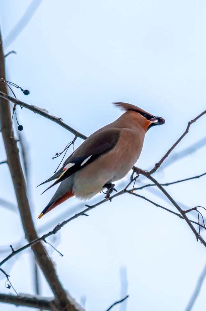Photograph by Дмитрий Бобровский