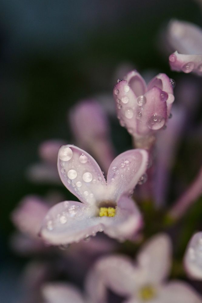 Photograph by Evgenia Korchagova