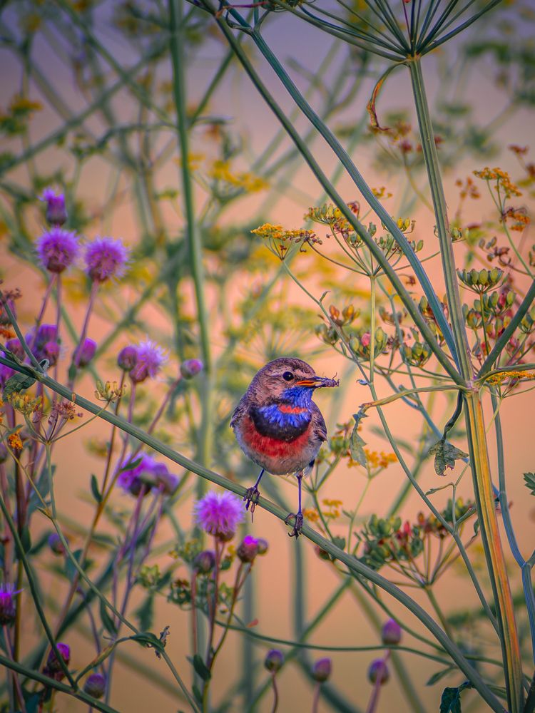 Photograph by Ольга Волкова