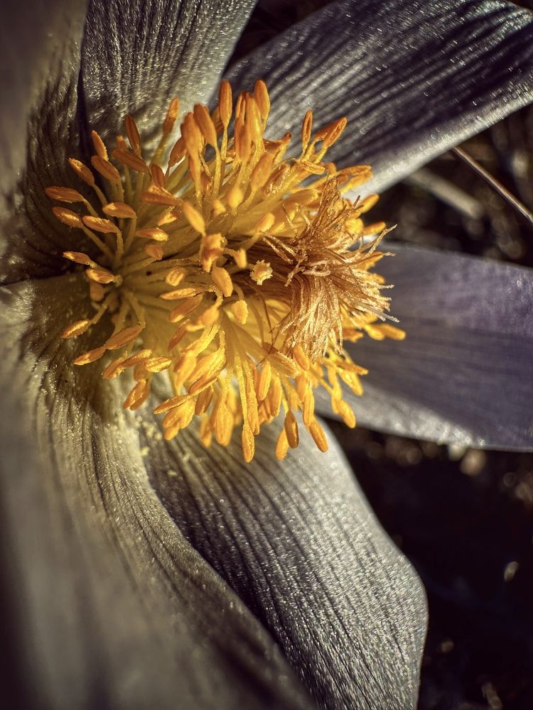 Photograph by Evgenia Privalova