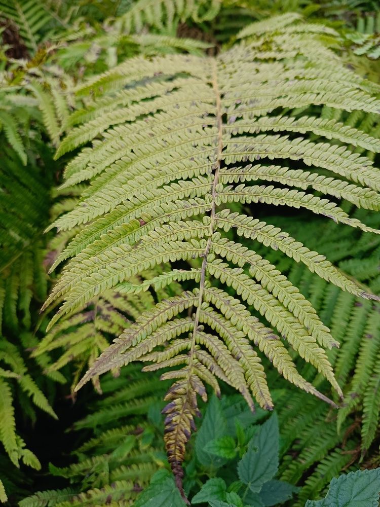 Photograph by Кристина Шацкая