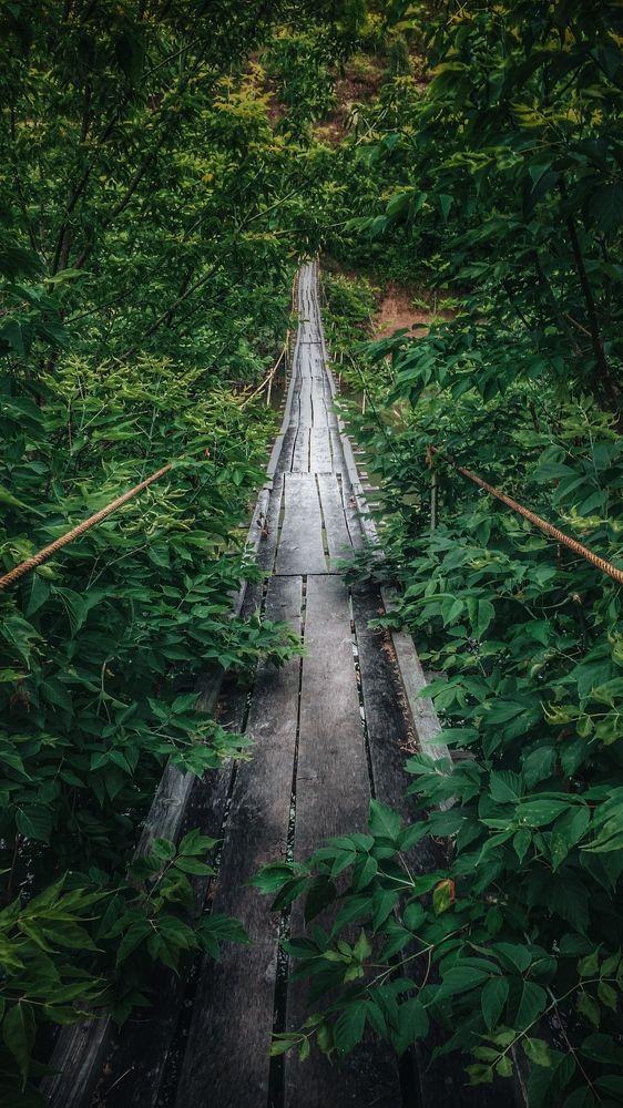 Photograph by Артур Гиниятуллин