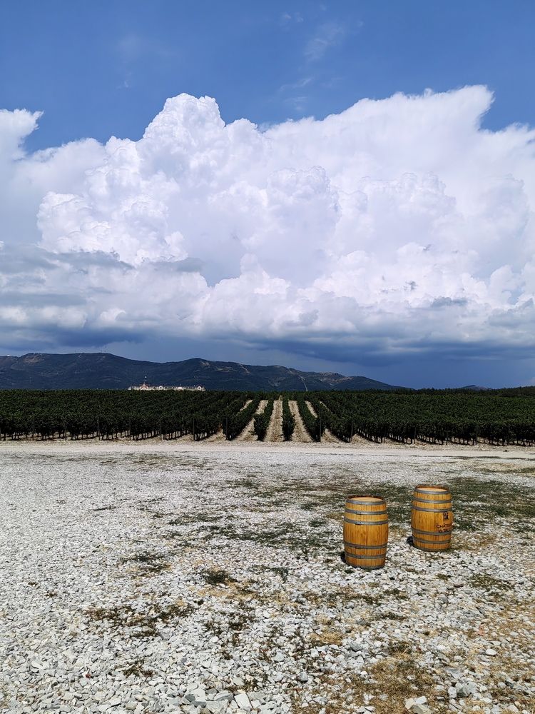 Photograph by Ковальчук