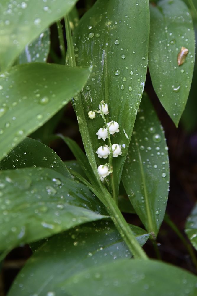 Photograph by Ольга Струкалина