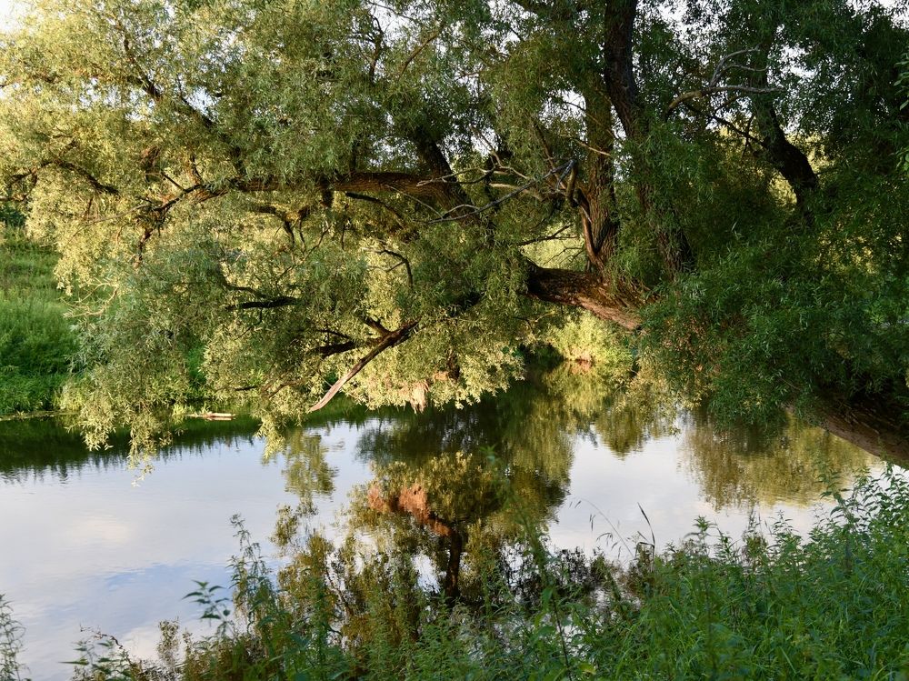 Photograph by Ольга Струкалина