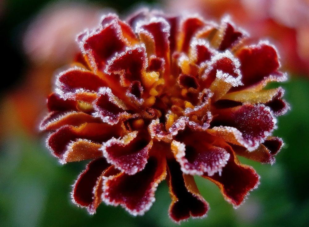 Photograph by Виктор Решетников