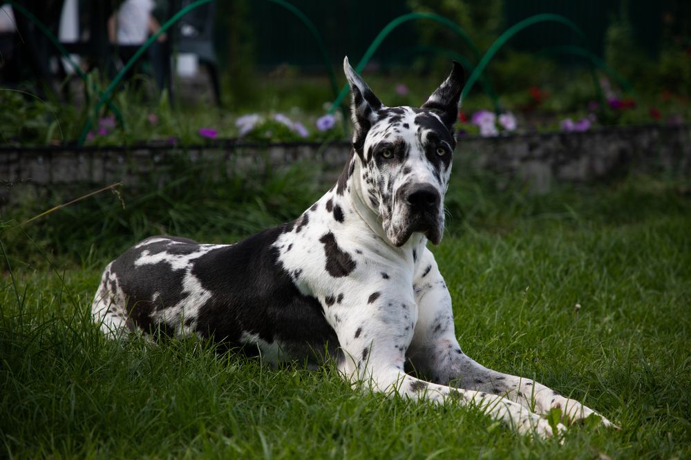 Photograph by Andrey Kul