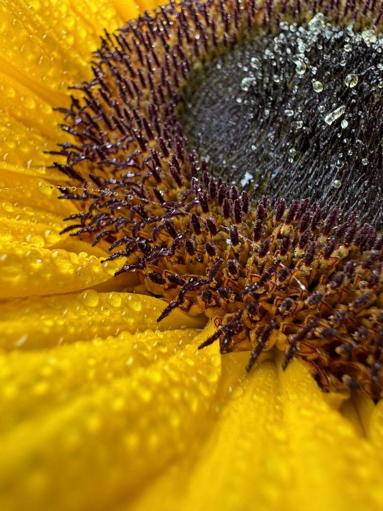 Photograph by Marianna Zakirova