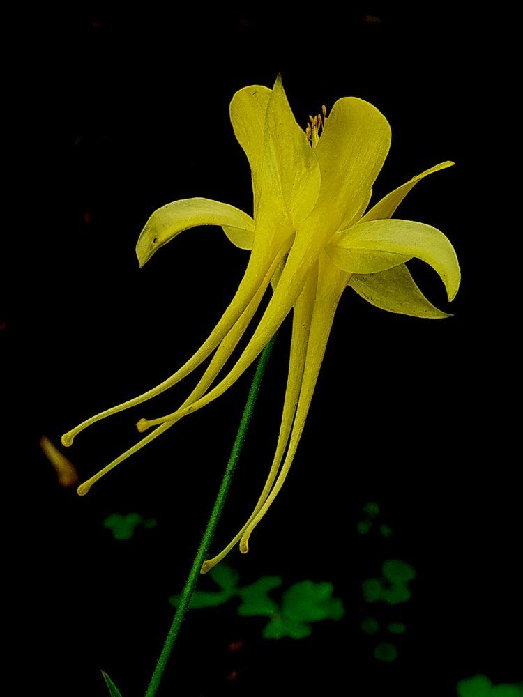 Photograph by Татьяна Солтан