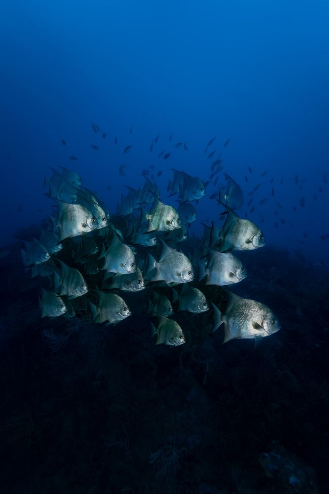 Photograph by Santiago Estrada R