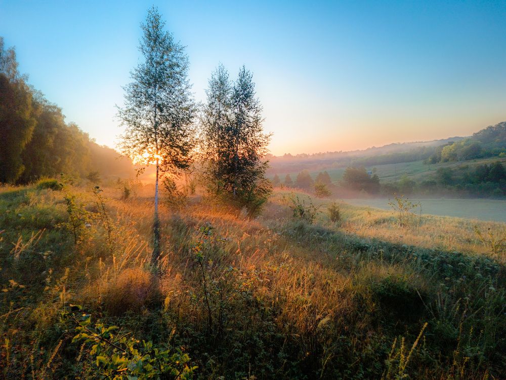 Photograph by Кондрашова Светлана