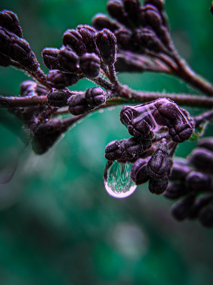 Photograph by Елена Макеева