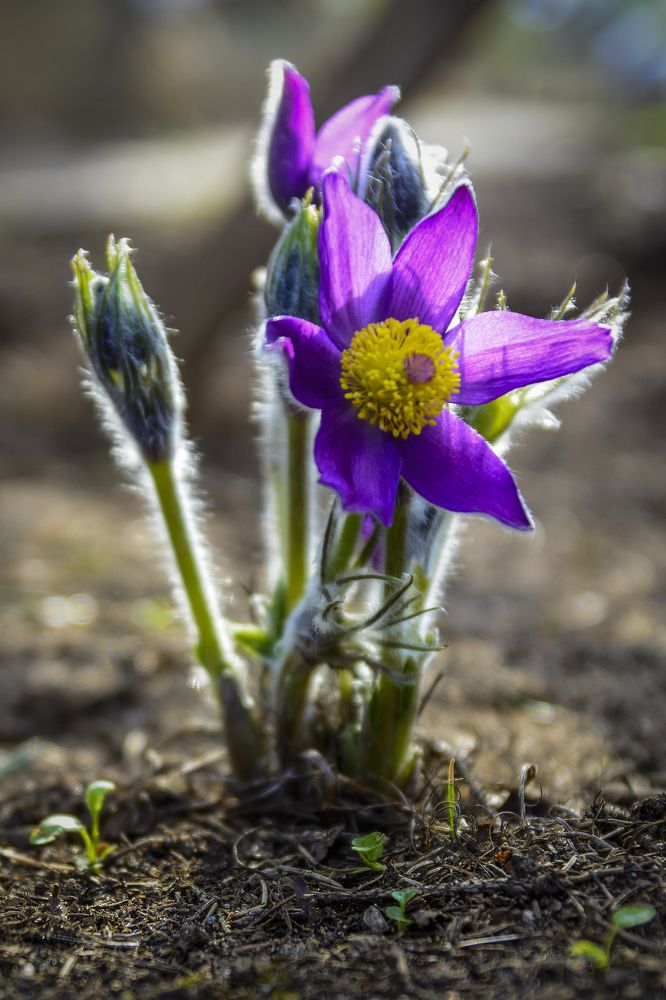 Photograph by Светлана Ващенко