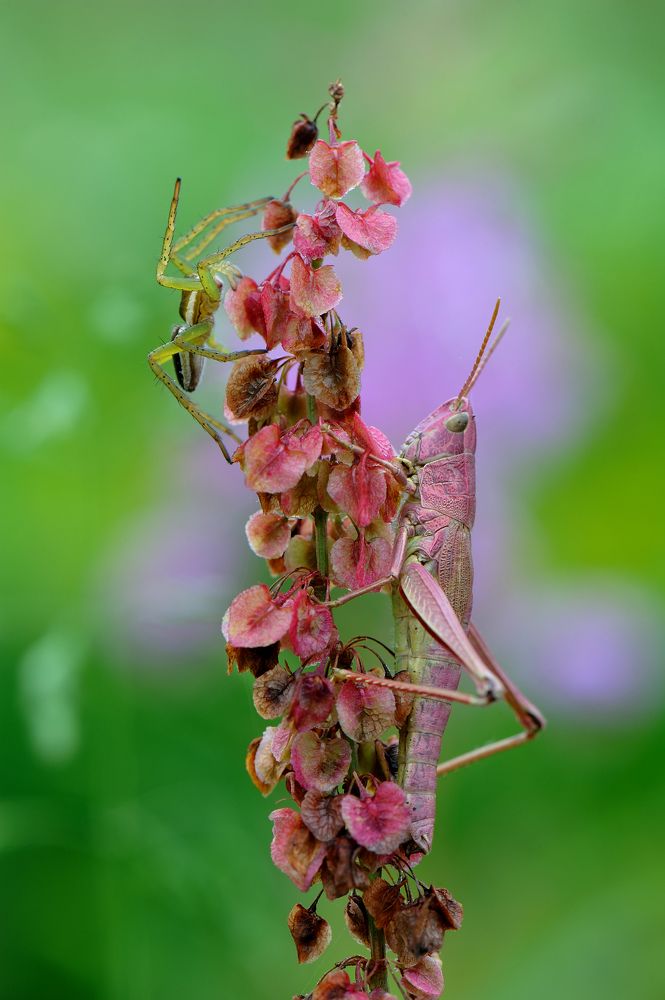 Photograph by Чистяков Андрей