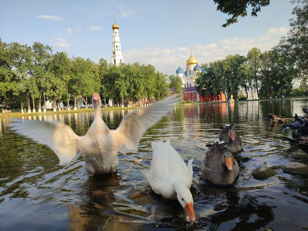 Photograph by Дмитрий Свинухов