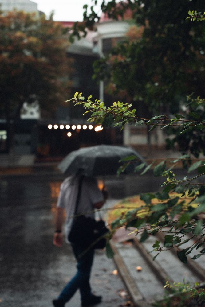 Photograph by Олег Сухенко