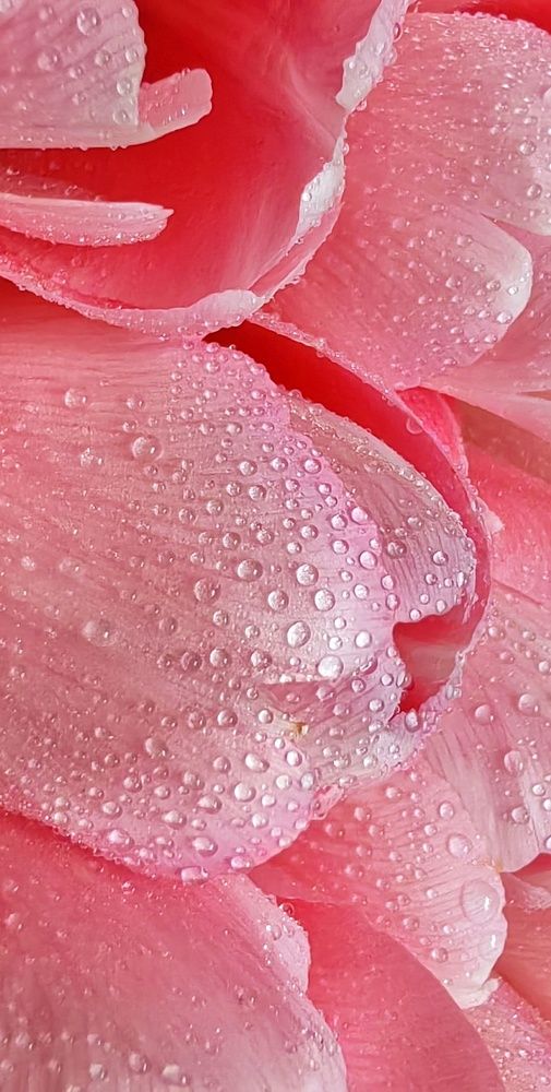 Фотография автора НАТАЛЬЯ СЕВЕР