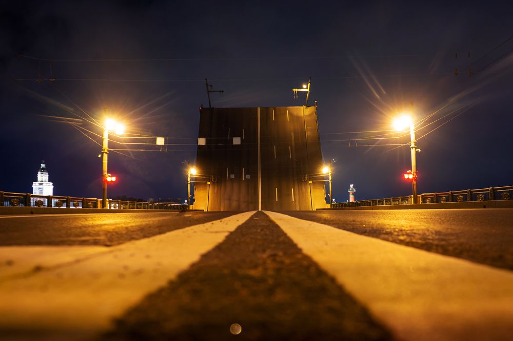 Фотография автора Анастасия Дубровина