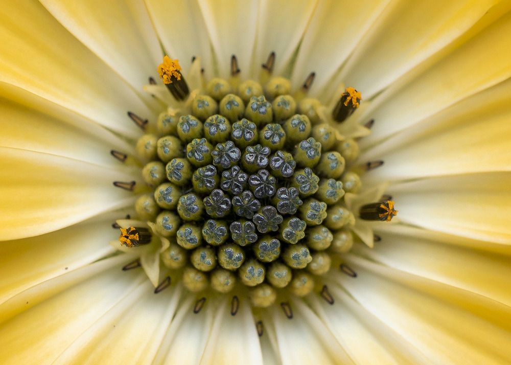 Photograph by Jose Vega