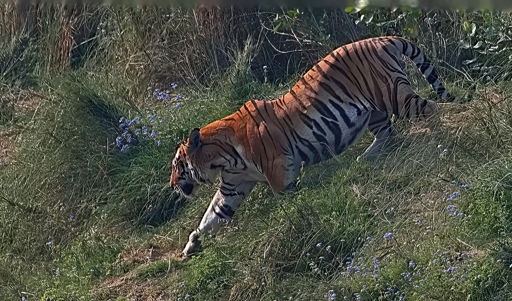 Photograph by Rajesh Dhungana