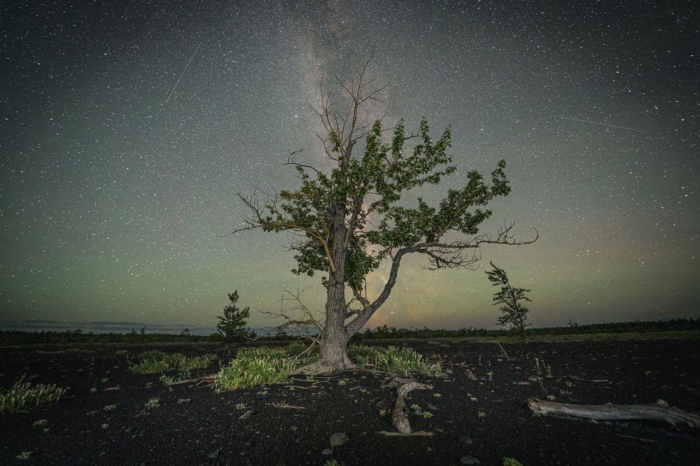 Фотография автора Антон Сандалов