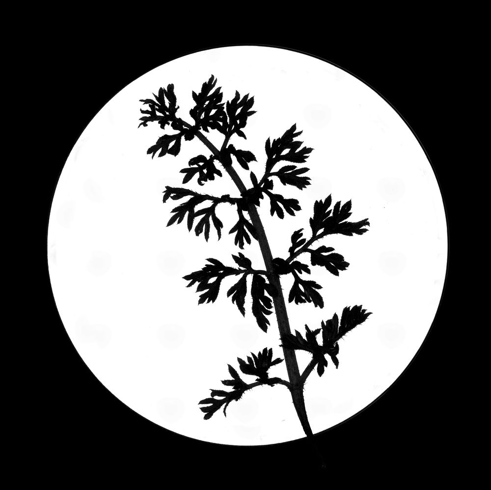 Фотография автора Ketov Vladimir