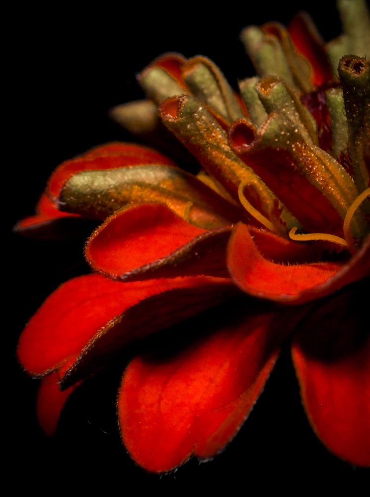 Photograph by Ольга Казакова