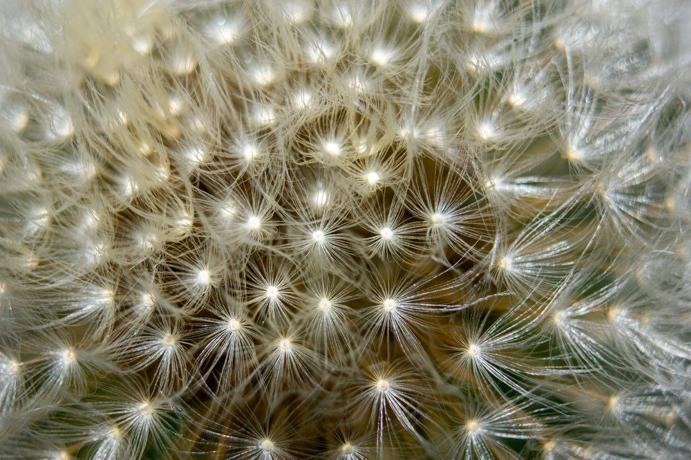 Фотография автора Minja Jovetic