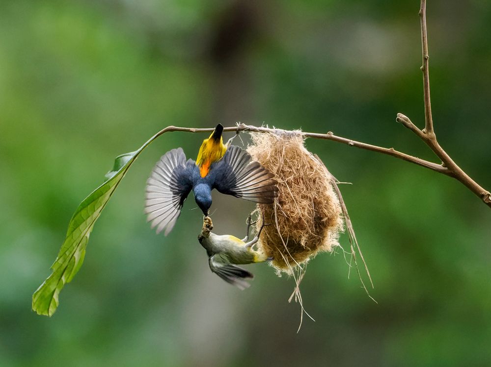 Photograph by Lugyanti Sukrisman