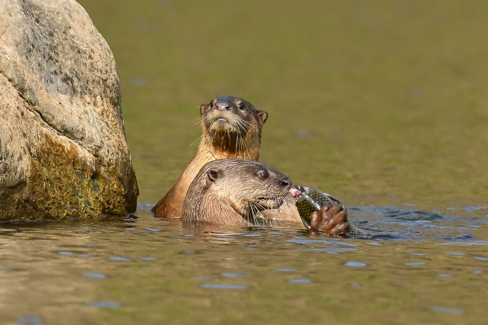 Photograph by Harshit Sharma