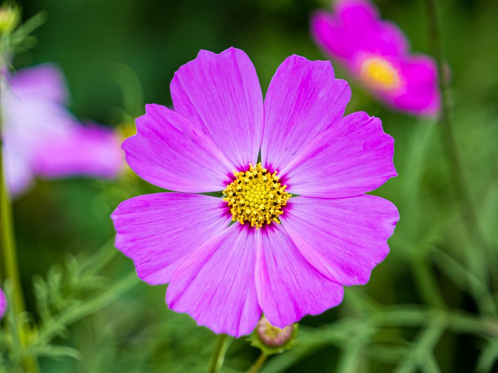 Photograph by Никита Борзов