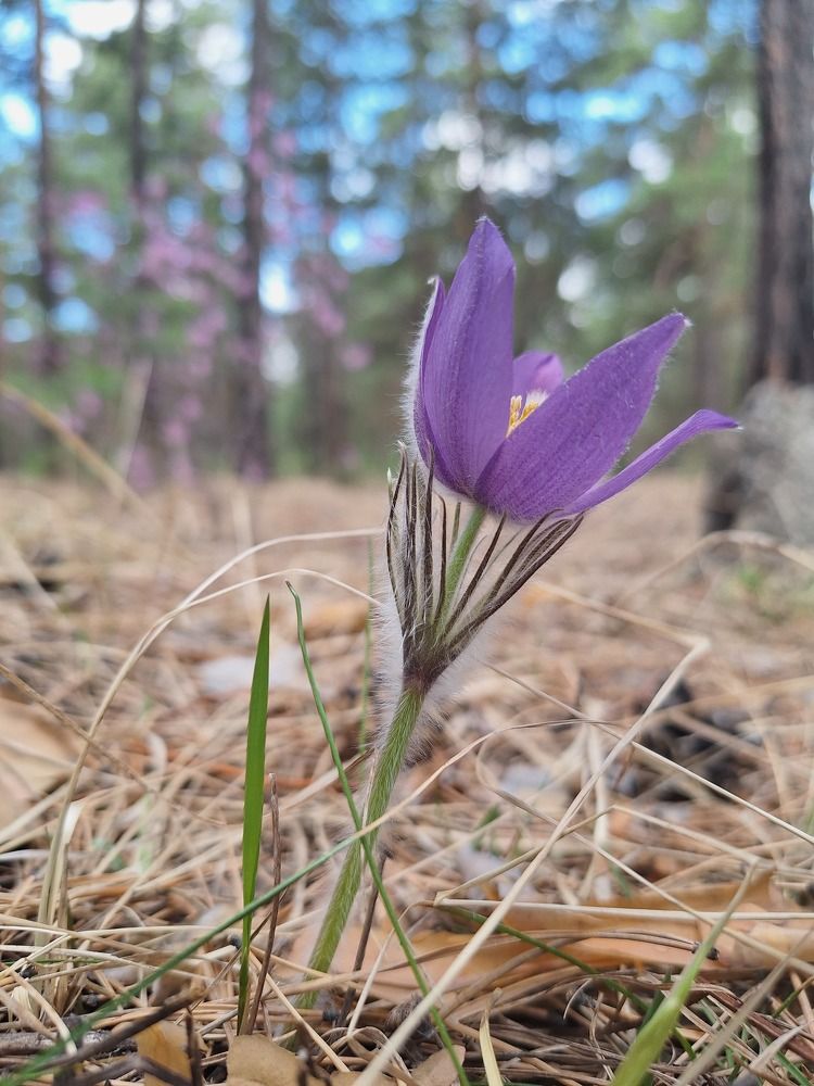 Фотография автора Егор Пешков