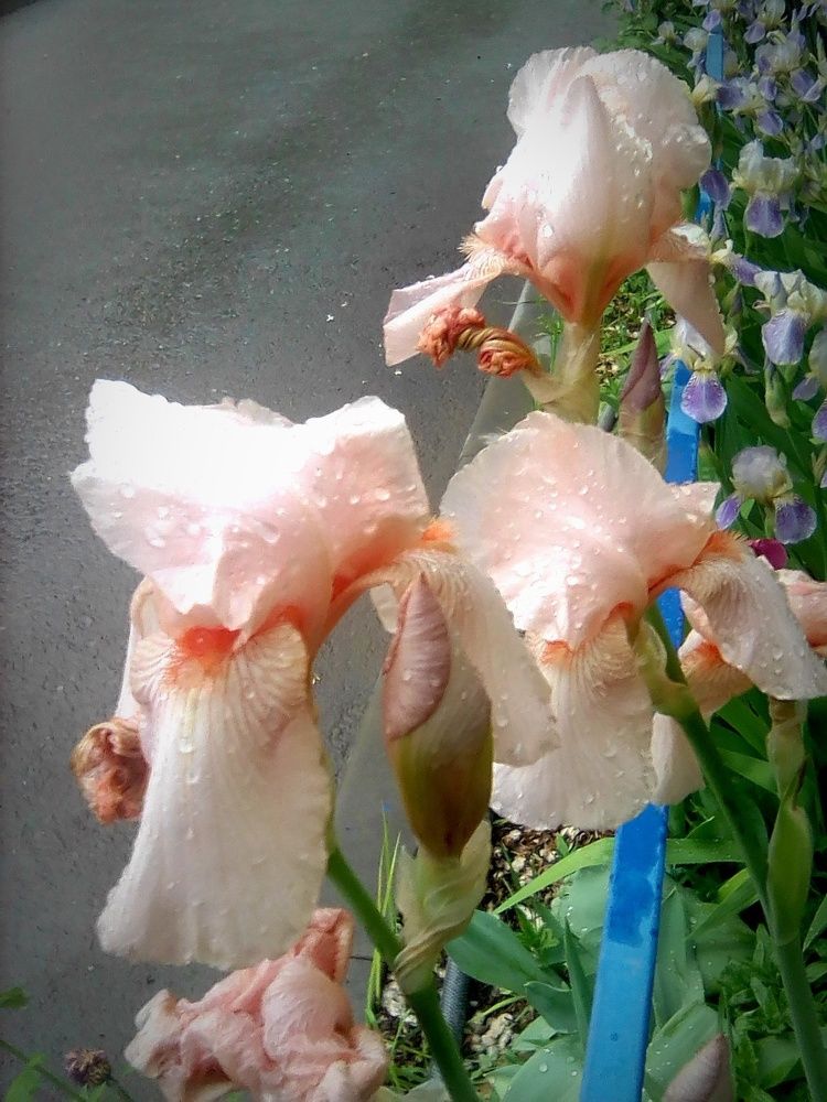 Photograph by Марта Васильева